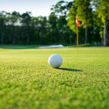 MM9 – A Quality Browntop Bent Mix For Golf And Bowling Green (20kg)